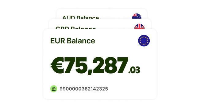 Wise balance for Euro.